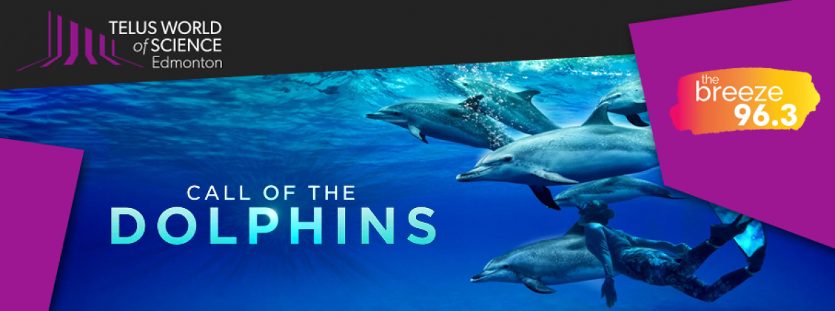 2025-04-14 Breeze Rewards: Call of the Dolphins in IMAX at TWOSE